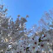 ヒメ日記 2025/05/01 20:10 投稿 みかん 奥様特急新潟店