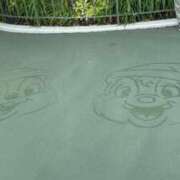 ヒメ日記 2024/12/12 13:59 投稿 みかん 奥様特急三条店