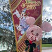 ヒメ日記 2024/12/23 11:03 投稿 みかん 奥様特急三条店