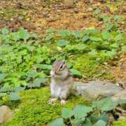 ヒメ日記 2025/08/12 12:31 投稿 みかん 奥様特急三条店
