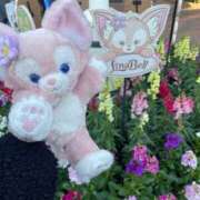 ヒメ日記 2025/11/30 15:13 投稿 みかん 奥様特急三条店