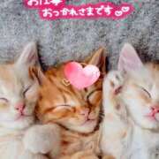 ヒメ日記 2026/03/12 09:17 投稿 栗田せりな 人妻家久喜