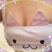 ヒメ日記 2025/02/17 01:19 投稿 めもりー ジューシー