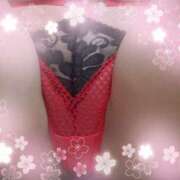 ヒメ日記 2025/03/23 12:53 投稿 めもりー ジューシー