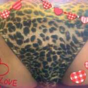 ヒメ日記 2025/04/03 13:58 投稿 めもりー ジューシー