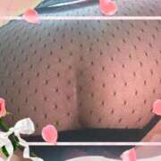 ヒメ日記 2025/04/05 15:26 投稿 めもりー ジューシー