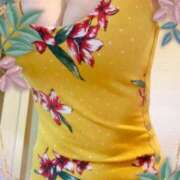 ヒメ日記 2025/05/01 12:46 投稿 めもりー ジューシー