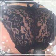 ヒメ日記 2025/05/12 22:33 投稿 めもりー ジューシー