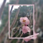 ヒメ日記 2026/03/23 10:19 投稿 えま 完熟ばなな 横浜