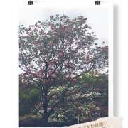 ヒメ日記 2026/04/13 16:56 投稿 えま 完熟ばなな 横浜