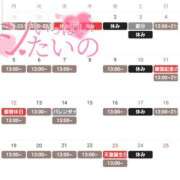 ヒメ日記 2024/01/20 09:00 投稿 ひなた シャトーペトラ