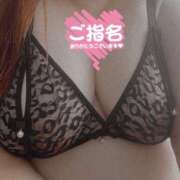 ヒメ日記 2024/12/30 12:34 投稿 るい 兵庫姫路・加古川ちゃんこ