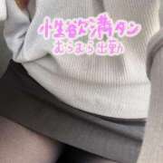 ヒメ日記 2025/03/10 17:59 投稿 るい 兵庫姫路・加古川ちゃんこ