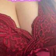 ヒメ日記 2025/03/11 10:14 投稿 るい 兵庫姫路・加古川ちゃんこ