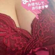 ヒメ日記 2025/03/18 14:57 投稿 るい 兵庫姫路・加古川ちゃんこ