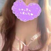 ヒメ日記 2025/03/19 09:38 投稿 るい 兵庫姫路・加古川ちゃんこ