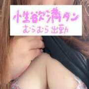 ヒメ日記 2025/05/17 10:05 投稿 るい 兵庫姫路・加古川ちゃんこ