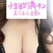 ヒメ日記 2025/10/31 09:53 投稿 るい 兵庫姫路・加古川ちゃんこ