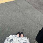 ヒメ日記 2025/11/19 08:55 投稿 るい 兵庫姫路・加古川ちゃんこ