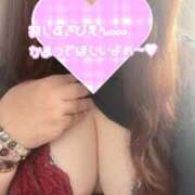 ヒメ日記 2025/11/21 13:28 投稿 るい 兵庫姫路・加古川ちゃんこ