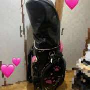 ヒメ日記 2026/03/01 17:11 投稿 るい 兵庫姫路・加古川ちゃんこ