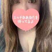 ヒメ日記 2026/04/14 10:24 投稿 るい 兵庫姫路・加古川ちゃんこ