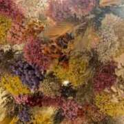 ヒメ日記 2025/04/28 22:21 投稿 亜希子 佐世保人妻デリヘル「デリ夫人」