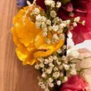 ヒメ日記 2025/04/29 16:13 投稿 亜希子 佐世保人妻デリヘル「デリ夫人」