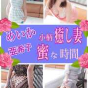 ヒメ日記 2026/02/19 13:33 投稿 亜希子 佐世保人妻デリヘル「デリ夫人」