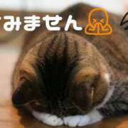 ヒメ日記 2026/08/02 07:32 投稿 ゆうり One More奥様　町田相模原店