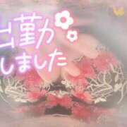 ヒメ日記 2024/12/05 13:51 投稿 ほのか 大宮おかあさん