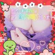 ヒメ日記 2025/01/03 17:51 投稿 ほのか 大宮おかあさん