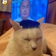 ヒメ日記 2025/02/08 00:01 投稿 ほのか 大宮おかあさん