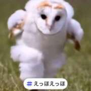 ヒメ日記 2025/04/01 03:01 投稿 ほのか 大宮おかあさん