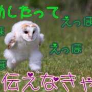 ヒメ日記 2025/04/01 12:48 投稿 ほのか 大宮おかあさん