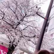 ヒメ日記 2025/04/03 12:21 投稿 ほのか 大宮おかあさん