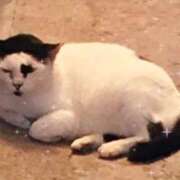 ヒメ日記 2025/04/04 14:02 投稿 ほのか 大宮おかあさん