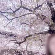 ヒメ日記 2025/04/10 13:01 投稿 ほのか 大宮おかあさん