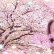 ヒメ日記 2025/04/12 13:31 投稿 ほのか 大宮おかあさん