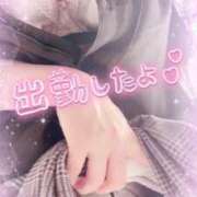 ヒメ日記 2025/04/15 13:26 投稿 ほのか 大宮おかあさん