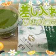 ヒメ日記 2025/04/20 17:35 投稿 ほのか 大宮おかあさん