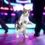 ヒメ日記 2025/05/08 10:02 投稿 ほのか 大宮おかあさん