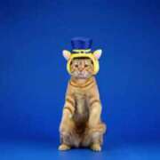 ヒメ日記 2025/05/08 22:51 投稿 ほのか 大宮おかあさん