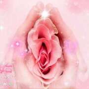 ヒメ日記 2025/05/29 13:31 投稿 ほのか 大宮おかあさん