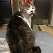 ヒメ日記 2025/06/15 21:51 投稿 ほのか 大宮おかあさん