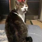 ヒメ日記 2025/06/16 23:51 投稿 ほのか 大宮おかあさん