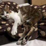 ヒメ日記 2025/06/20 16:21 投稿 ほのか 大宮おかあさん