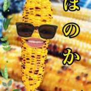 ヒメ日記 2025/08/10 22:06 投稿 ほのか 大宮おかあさん