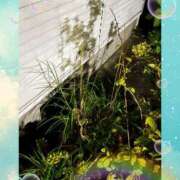 ヒメ日記 2025/08/15 15:16 投稿 ほのか 大宮おかあさん