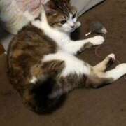 ヒメ日記 2025/08/15 20:56 投稿 ほのか 大宮おかあさん